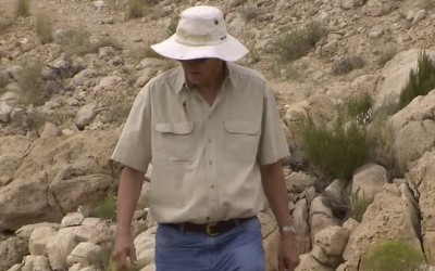 Земля: Биография планеты (Earth: Making of a Planet) 31 Август 2015 09:24 восьмое Земля: Биография планеты (Earth: Making of a Planet) 31 Август 2015 09:24 восьмое