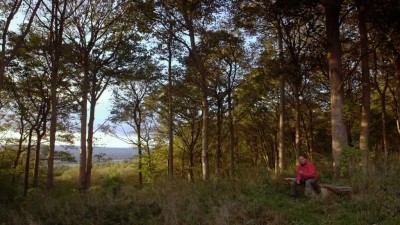 BBC: Тайны квантовой физики (The Secrets of Quantum Physics) 02 Сентябрь 2015 09:01 седьмое BBC: Тайны квантовой физики (The Secrets of Quantum Physics) 02 Сентябрь 2015 09:01 седьмое