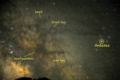 Созвездие Змееносец 02 Сентябрь 2015 19:12 пятое Созвездие Змееносец 02 Сентябрь 2015 19:12 пятое