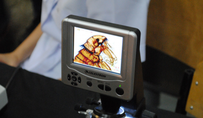 Отчёт: научный пикник в Харькове 27.09.15 12 Ноябрь 2015 11:00 второе Отчёт: научный пикник в Харькове 27.09.15 12 Ноябрь 2015 11:00 второе