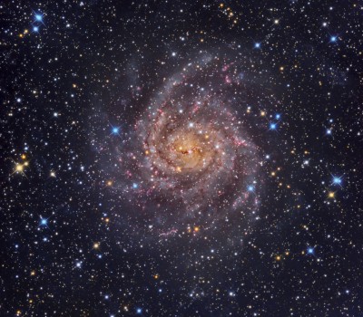 Созвездие Жираф 19 Ноябрь 2015 12:30 тринадцатое Созвездие Жираф 19 Ноябрь 2015 12:30 тринадцатое