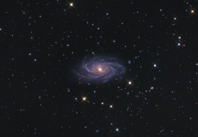 Созвездие Жираф 19 Ноябрь 2015 12:30 десятое Созвездие Жираф 19 Ноябрь 2015 12:30 десятое