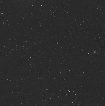 Созвездие Жираф 19 Ноябрь 2015 12:30 четвертое Созвездие Жираф 19 Ноябрь 2015 12:30 четвертое