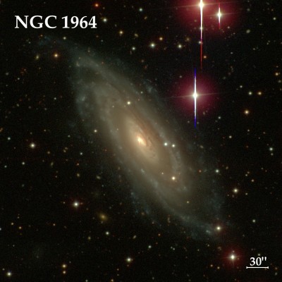 Созвездие Заяц 24 Декабрь 2015 13:06 десятое Созвездие Заяц 24 Декабрь 2015 13:06 десятое