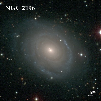 Созвездие Заяц 24 Декабрь 2015 13:06 восьмое Созвездие Заяц 24 Декабрь 2015 13:06 восьмое