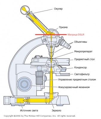 DSLR + Delta Optical Biostage (Снятие окулярного узла) 28 Декабрь 2015 14:47