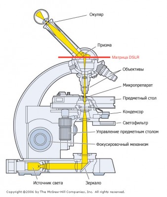 DSLR + Delta Optical Biostage (Снятие окулярного узла) 28 Декабрь 2015 14:47 DSLR + Delta Optical Biostage (Снятие окулярного узла) 28 Декабрь 2015 14:47