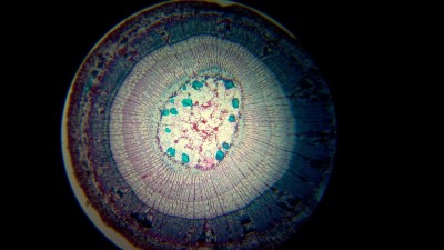 апгрейд ОГМЭ П3 11 Апрель 2016 12:03 третье апгрейд ОГМЭ П3 11 Апрель 2016 12:03 третье