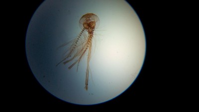 апгрейд ОГМЭ П3 11 Апрель 2016 12:03 второе апгрейд ОГМЭ П3 11 Апрель 2016 12:03 второе