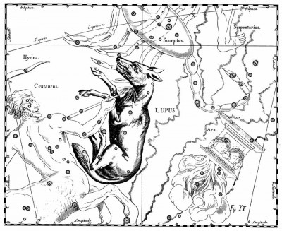Созвездие Волк 24 Май 2016 21:30 двенадцатое Созвездие Волк 24 Май 2016 21:30 двенадцатое