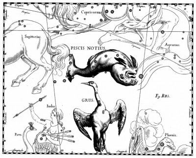 Созвездие Южная Рыба 24 Май 2016 22:03 девятое Созвездие Южная Рыба 24 Май 2016 22:03 девятое