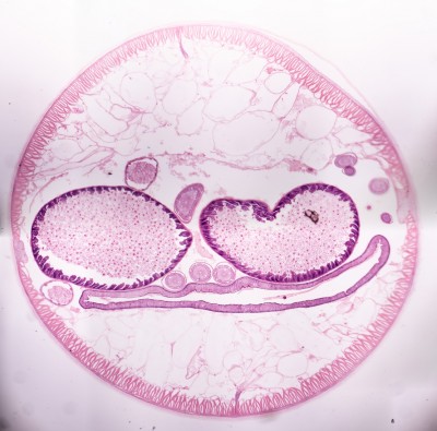Как наилучшим образом сшить несколько изображений 17 Июнь 2016 16:50 второе Как наилучшим образом сшить несколько изображений 17 Июнь 2016 16:50 второе