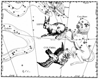 Созвездие Голубь 27 Июль 2016 20:42 девятое Созвездие Голубь 27 Июль 2016 20:42 девятое