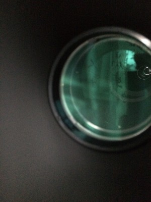 900 AZ3 29 Август 2016 00:24 третье 900 AZ3 29 Август 2016 00:24 третье