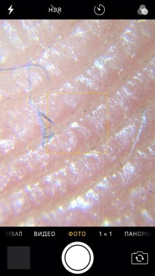 Карманный микроскоп с прищепкой для телефона 03 Январь 2017 15:36 второе Карманный микроскоп с прищепкой для телефона 03 Январь 2017 15:36 второе