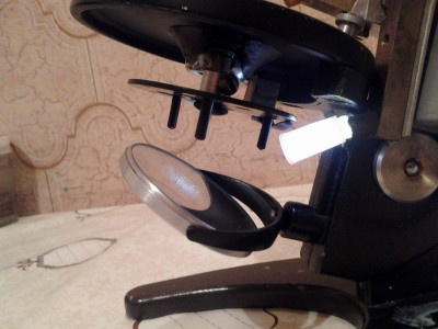 Наши микроскопы (фото и описание). 28 Февраль 2017 22:23 третье Наши микроскопы (фото и описание). 28 Февраль 2017 22:23 третье