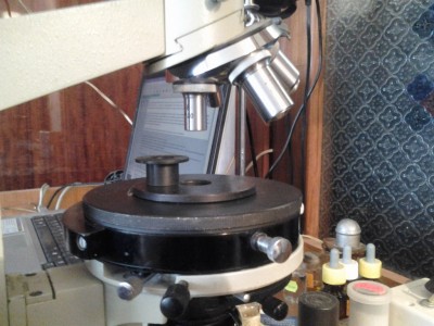 Наши микроскопы (фото и описание). 01 Март 2017 01:53 пятое Наши микроскопы (фото и описание). 01 Март 2017 01:53 пятое