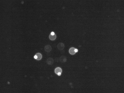 Юстировка телескопов 26 Апрель 2017 18:53 третье Юстировка телескопов 26 Апрель 2017 18:53 третье